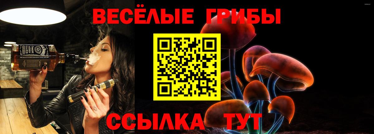 Псилоцибиновые грибы мицелий Волжск